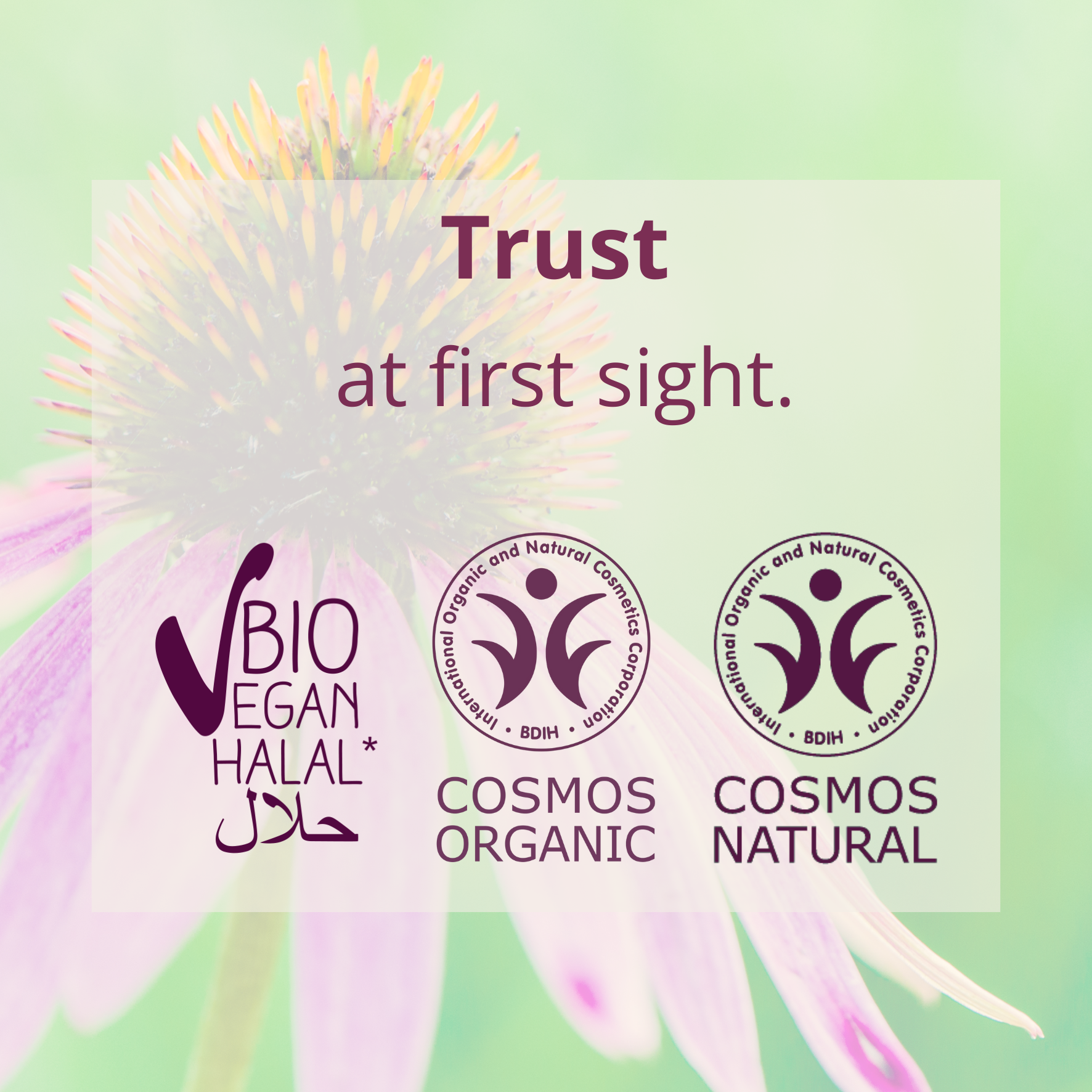 Our seals stand for what matters: ? COSMOS ORGANIC • BIO • VEGAN • HALAL Clearly visible on every package – for true transparency in natural cosmetics.